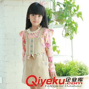 夏款 2014夏季新款韓版童裝 女童短袖連衣裙公主裙