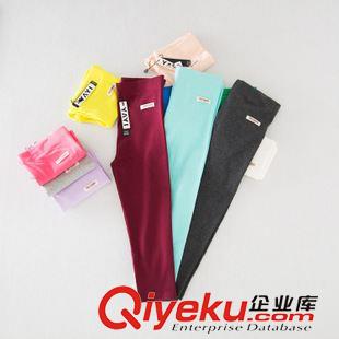 ◆打底褲 長褲 短褲 秋季新款女士甩褲女 寬松大碼休閑莫代爾加肥 甩  褲 子 批發(fā)