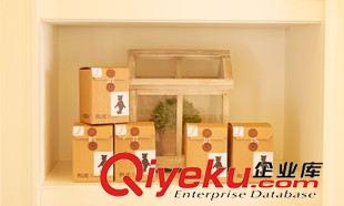 ◆打底褲 長褲 短褲 henny rue女士大碼秋季新款全棉高彈力女式連褲襪踩腳打底褲原始圖片2