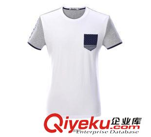 海瀾  短袖 T恤   2015夏季新品品牌折扣 男士短袖T恤襯衫領 HNTBD2A085A