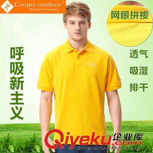 帝芙仕戶外品牌 2015新款 速干短袖polo衫 排汗透氣 時(shí)尚運(yùn)動(dòng)T恤 1599A 戶外運(yùn)動(dòng)原始圖片2