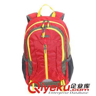 鞋包 2015新款 登山包 防泼水双肩包 20L 户外运动旅行包 CP-AD162367