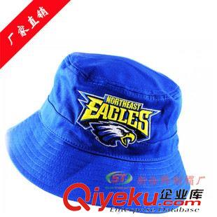 兒童帽子 雄鷹刺繡牛仔盆帽兒童太陽帽休閑遮陽帽菲律賓卡通漁夫帽外貿出口原始圖片3