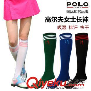 女士服裝 polo golf新款 高爾夫球襪子 女士運(yùn)動(dòng)襪 抗菌吸汗 透氣保暖 特價(jià)