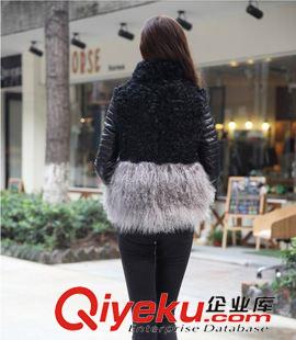 zp衣 歐美秋冬爆款立領綿羊皮接拼羊羔毛灘羊毛皮草長袖女皮草外套批發(fā)原始圖片3
