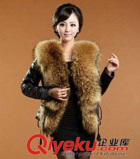 仿皮衣 外貿(mào)出口仿貉子毛領(lǐng)仿綿羊皮仿zp女式短款皮衣外套批發(fā)一件代發(fā)