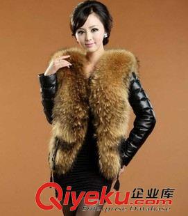 仿皮衣 歐美時(shí)髦爆款超大仿狐貍毛領(lǐng)仿綿羊皮長(zhǎng)袖短款休閑皮草外套批發(fā)原始圖片2