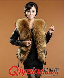 仿皮衣 外貿(mào)出口仿貉子毛領(lǐng)仿綿羊皮仿zp女式短款皮衣外套批發(fā)一件代發(fā)原始圖片2