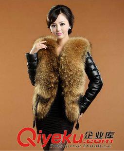 仿皮衣 外貿(mào)出口仿貉子毛領(lǐng)仿綿羊皮仿zp女式短款皮衣外套批發(fā)一件代發(fā)原始圖片3