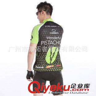 tj商品 2013 男士热转印夏季吸湿排汗短袖骑行服套装/单车服/骑行裤短裤