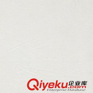 40D錦氨網 廠家現貨批發40D錦氨網  經編彈力網布布料 支持來樣加工定制原始圖片2