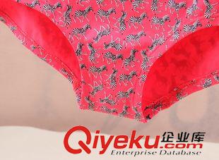 文胸 內(nèi)褲 加拿大G*RGE原單 印花T字內(nèi)褲 女士無縫無痕斑馬三角褲  速干褲原始圖片3