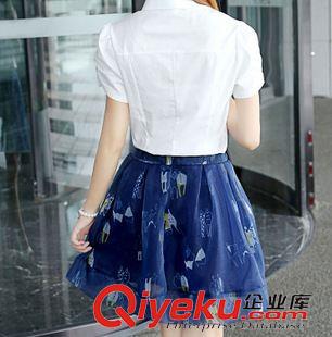 6月新款第十四期 2015夏季新款女裝 韓版印花雪紡連衣裙 兩件套歐根紗裙子套裝女原始圖片3