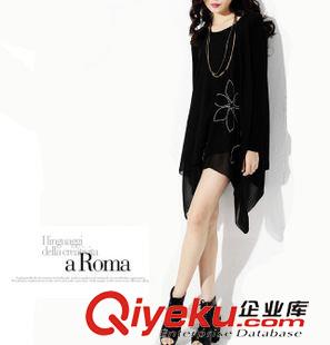春季連衣裙 2015春季初夏新款歐美風(fēng)大碼女裝不規(guī)則繡花寬松胖MM雪紡連衣裙潮原始圖片3