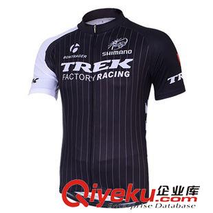 短上裝 lampre 2014 新款車隊(duì)版騎行服短袖 夏季男款短上衣 單車透氣衫