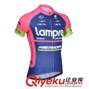 短上裝 lampre 2014 新款車隊版騎行服短袖 夏季男款短上衣 單車透氣衫