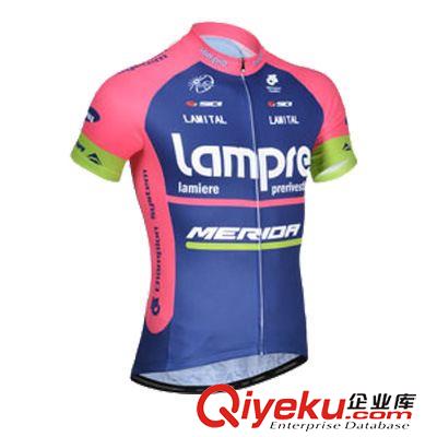 短上裝 lampre 2014 新款車隊版騎行服短袖 夏季男款短上衣 單車透氣衫