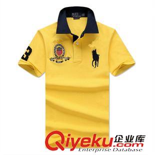 夏季主推款 夏季新款外貿品牌男裝polo衫純棉男士t恤短袖翻領可搭配 情侶裝