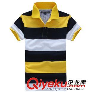 長期加單款 2015夏季新款外貿男裝批發男士短袖條紋t恤翻領純棉polo衫短袖原始圖片3