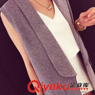 吊帶衫 背心  小披肩 2015 夏裝新款歐美時(shí)尚大牌洋氣長款薄馬甲女外套原始圖片2