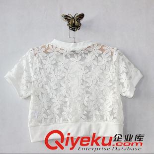 蕾絲，雪紡區(qū) 廠(chǎng)家直銷(xiāo) 日單蕾絲刺繡花邊短款罩衫 小開(kāi)衫 女裝批發(fā)