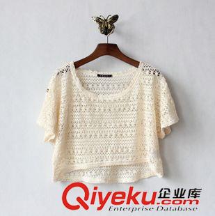 蕾絲，雪紡區(qū) 批發(fā) 夏季日系原單 前短后長米子鏤空蕾絲短袖百搭衫罩衫