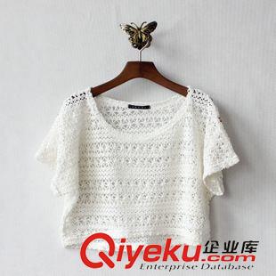 蕾絲，雪紡區(qū) 批發(fā) 夏季日系原單 前短后長米子鏤空蕾絲短袖百搭衫罩衫