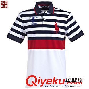 polo衫 2015年夏季新款男式登山運動休閑速干自駕游騎行polo衫定做定制原始圖片3