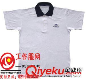 女式短袖POLO衫 工作服女士短袖t恤 翻領(lǐng)絲光棉T恤 男寬松純棉半袖男裝poio衫