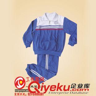 校服 供應(yīng)春夏裝校服,加工校服,包工包料,專業(yè)定做各類校服