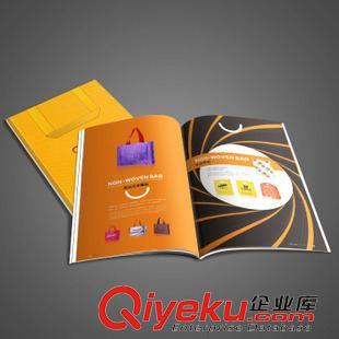 企業(yè)形象畫冊設(shè)計 佛山畫冊設(shè)計 產(chǎn)品目錄冊 公司宣傳畫冊 折頁圖冊 8年的行業(yè)經(jīng)驗原始圖片2