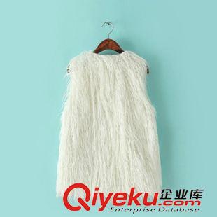 馬夾/馬甲 秋冬新款歐美dp款氣質(zhì)百搭仿胎羊毛卷卷毛馬甲背心外套女裝原始圖片2