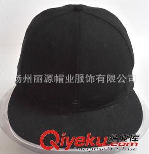 平舌嘻哈帽 供應(yīng)廠家直銷(xiāo)平舌嘻哈運(yùn)動(dòng)帽 街舞帽子 高頂帽 印花平舌帽子