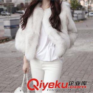 雜款皮草大衣 人造毛中長款皮草外套女士大衣淘寶微信代理一件代發tj批發