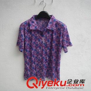 阿婆短袖衫 新款中老年女裝 大碼寬松圓領(lǐng)短袖T恤 阿婆裝 媽媽服裝批發(fā)原始圖片3