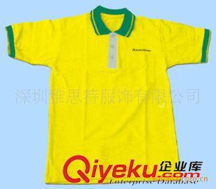 翻領(lǐng)POLO.T恤 深圳T恤加工，定做工衣，秋冬加厚T恤