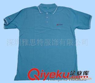 翻領(lǐng)POLO.T恤 深圳T恤加工，定做工衣，秋冬加厚T恤