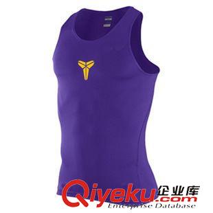 運(yùn)動(dòng) 健身類 運(yùn)動(dòng)PRO 緊身訓(xùn)練背心 吸濕排汗速干 運(yùn)動(dòng)健身籃球背心衣服原始圖片2