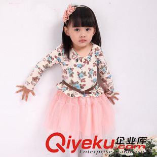 連衣裙 一件代發(fā)秋款女童網(wǎng)紗印花長(zhǎng)袖連衣裙公主裙girl dress原始圖片3