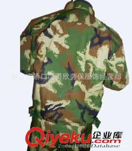 立領(lǐng)短袖夾克套服 廠家直供/05款武兵網(wǎng)格zp立領(lǐng)短袖高支棉短袖套服/真巴套服