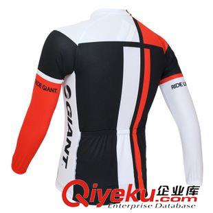 長袖騎行服套裝 2015環(huán)法車隊版 GIANT 捷安特長袖網(wǎng)眼騎行服套裝定制 訂做男秋款原始圖片3