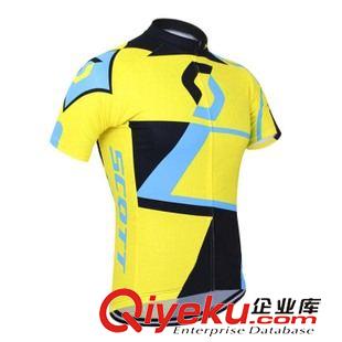 0-99 環法車隊版 短袖騎行服背帶套裝 夏季款男 騎行服短褲訂制工廠原始圖片3