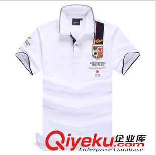 其他品牌 2015夏季新款外貿(mào)男裝polo衫純棉時(shí)尚翻頂短袖T恤空軍一號(hào)爆款男原始圖片2