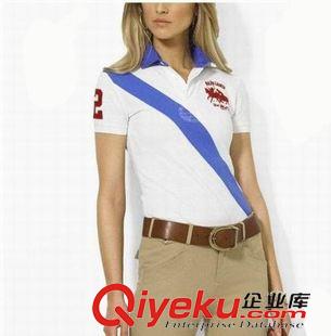 女款短袖 2015春夏新品 女式翻領(lǐng) 短袖女士t恤 純棉t恤 女韓版polo衫女t恤