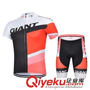 騎行短套裝 Aitianze 2015 Giordana 背帶短袖Pro車隊(duì)版騎行服套裝定制 廠供