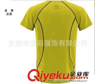 速干T 外貿(mào)T恤定做 印花純棉短袖圓領(lǐng)T恤 外貿(mào)贈(zèng)品廣告T恤 歐碼T恤定做原始圖片2