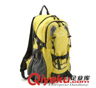 所有產品 運動背包電腦背包旅行雙肩背包學生書包戶外包原始圖片2