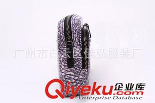 未分類 廠家直銷艾美斯BB003拉鏈開口新款蛇皮花紋包 無肩帶戶外包原始圖片2