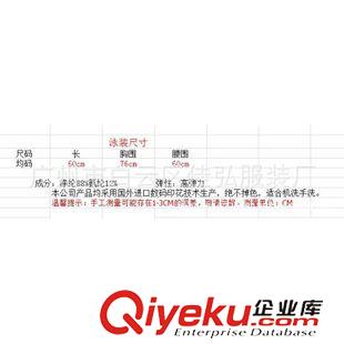 未分類 艾美斯JH022 歐美風連體泳衣漸變色魚鱗圖案數碼印花廠家直銷
