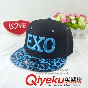 嘻哈帽/平沿帽 新款韓版EXO刺繡虎皮帽檐棒球帽平檐帽嘻哈春夏天太陽帽廠家批發(fā)原始圖片3